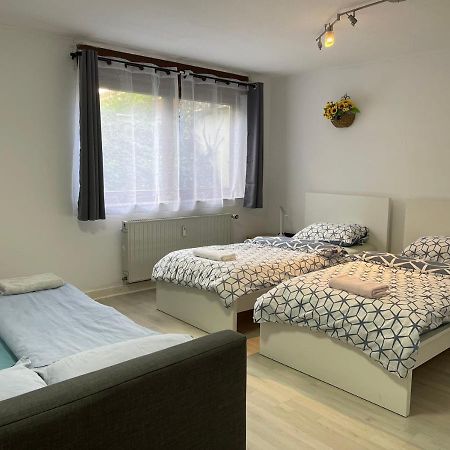 Duesseldorf Messe, 2-Bedroom Duplex Apartment With Terrace And Garden Экстерьер фото